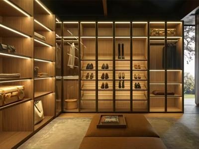 Luxury Glass Wardrobe